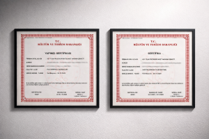 AD1 FILM (License No: 82294 & 82329) consolidates its international framework as a certified producer and distributor in the Republic of Türkiye, facilitating global co-productions.