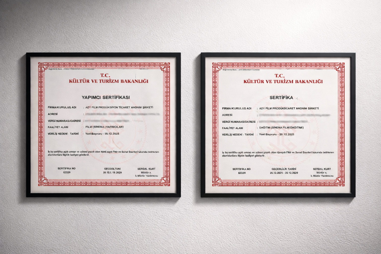 AD1 FILM (License No: 82294 & 82329) consolidates its international framework as a certified producer and distributor in the Republic of Türkiye, facilitating global co-productions.