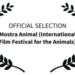 Mostra Animal — International Film Festival for the Animals